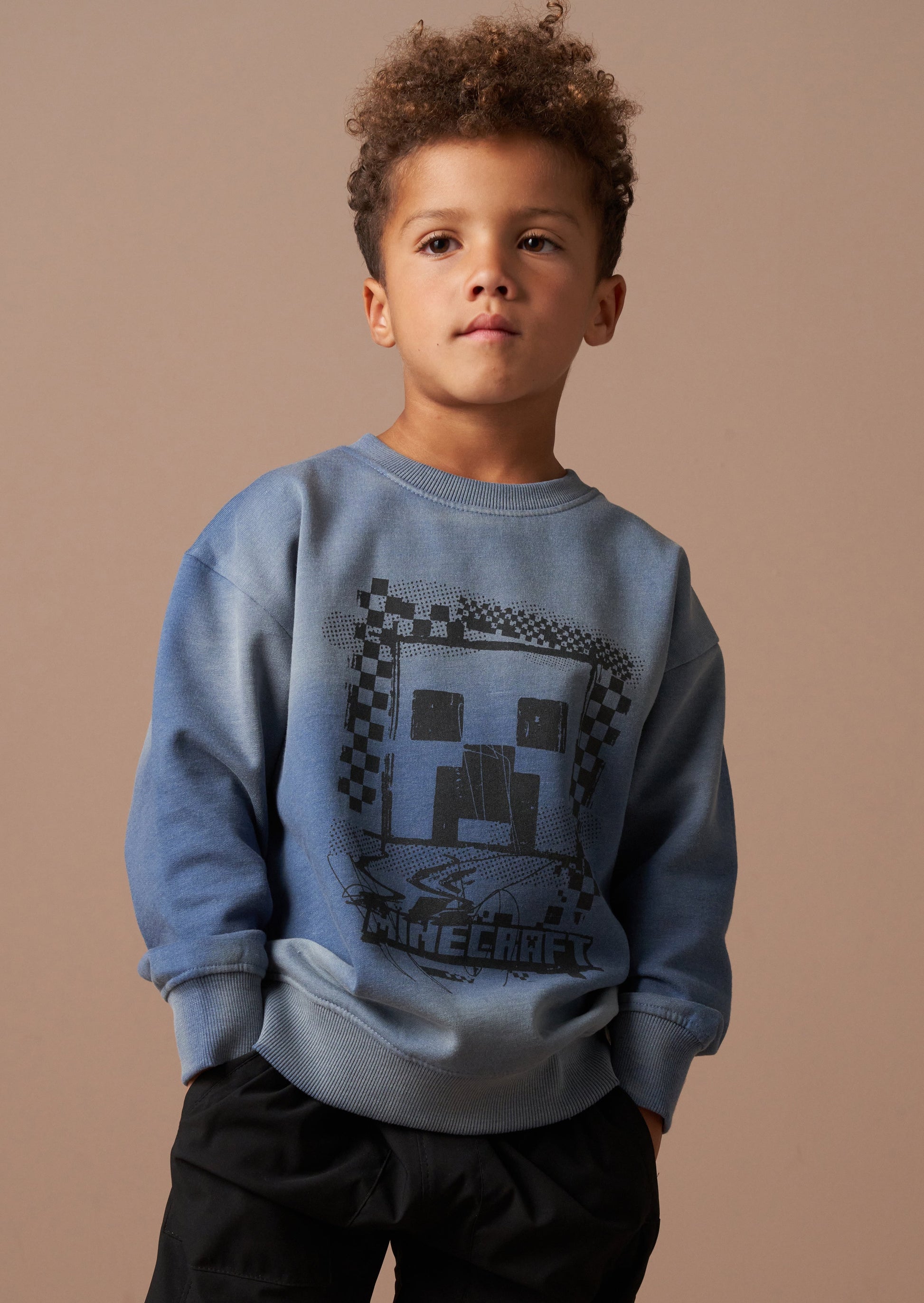 Minecraft Graphic Sweat